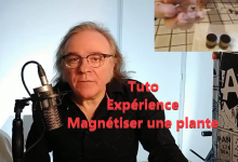 TUTORIEL : Expérience Magnétiser un haricot – Comment faire et Résultat